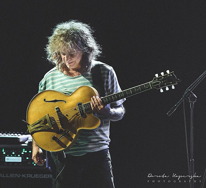 Pat Metheny in Concert, Poland (Katowice) 2019 Dorota Koperska Photography