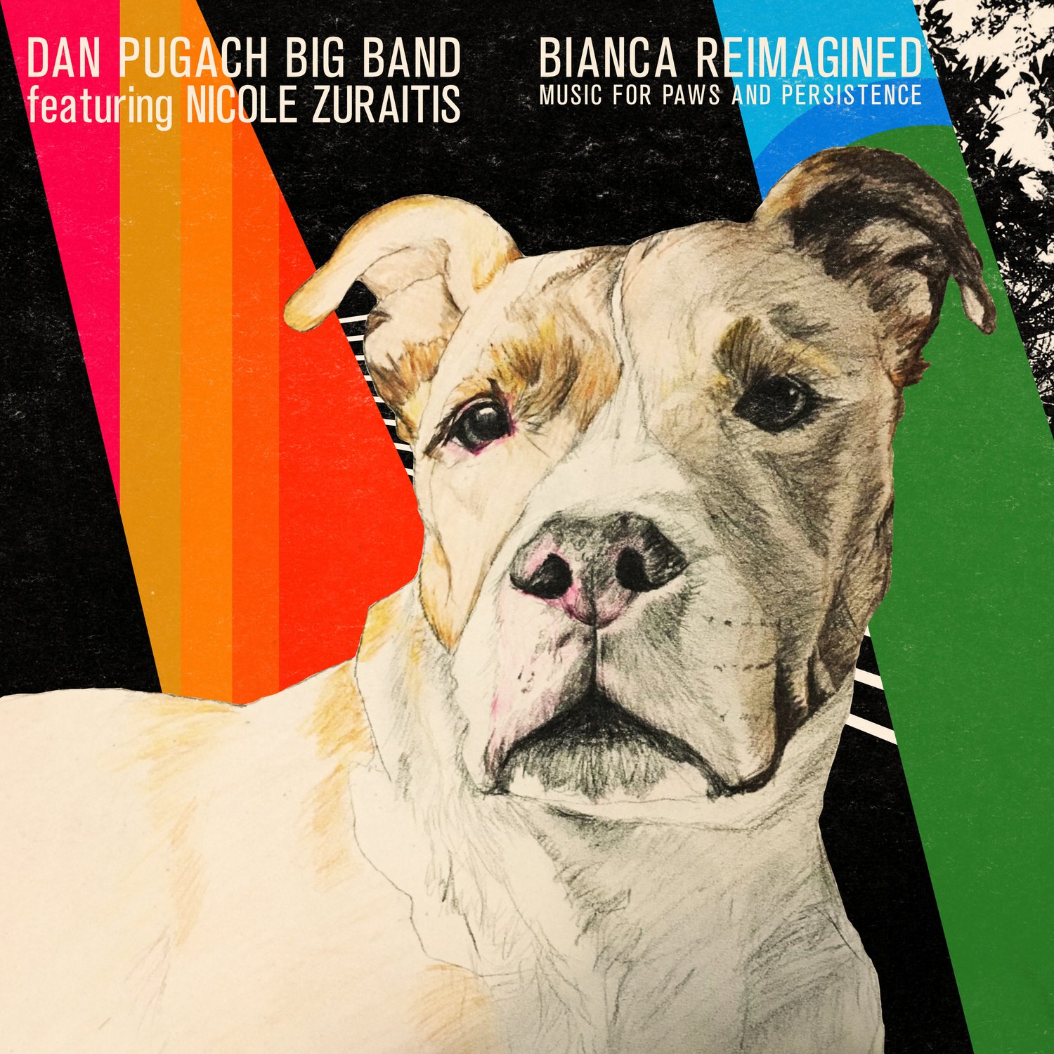 Dan Pugach "Bianca Reimagined"